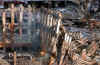 Click on the December 15, 2001 World Trade Center Ground Zero photo for a larger image.